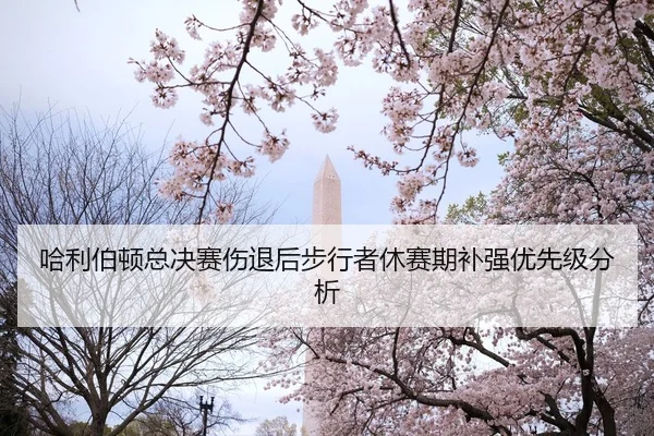哈利伯顿总决赛伤退后步行者休赛期补强优先级分析