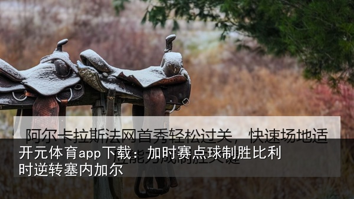 开元体育app下载:加时赛点球制胜比利时逆转塞内加尔