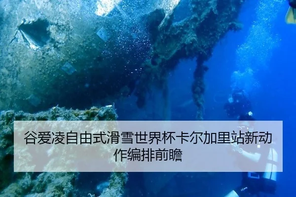gu-ai-ling-zi-you-shi-hua-xue-shi-jie-bei-ka-er-jia-li-zhan-xin-dong-zuo-bian-pai-qian-zhan-2-657.jpg