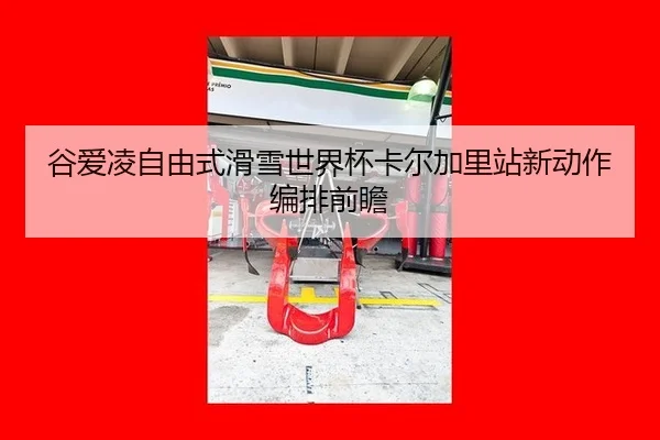 gu-ai-ling-zi-you-shi-hua-xue-shi-jie-bei-ka-er-jia-li-zhan-xin-dong-zuo-bian-pai-qian-zhan-3-250.jpg