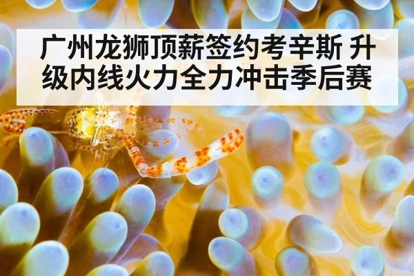 广州龙狮顶薪签约考辛斯 升级内线火力全力冲击季后赛