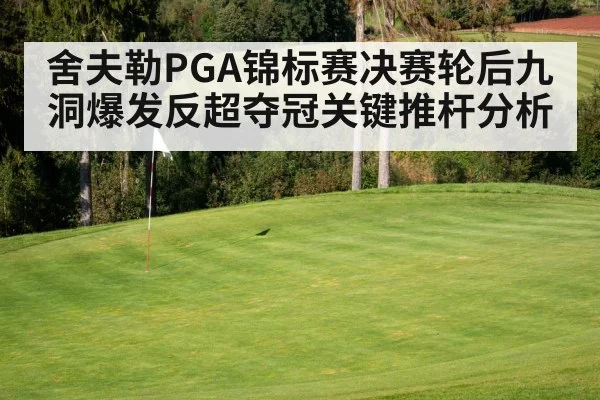 舍夫勒PGA锦标赛决赛轮后九洞爆发反超夺冠关键推杆分析